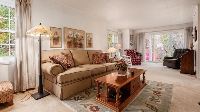 living room with light colored carpet and a wealth of natural light