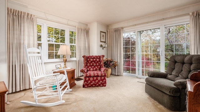 sitting room featuring carpet and ornamental molding