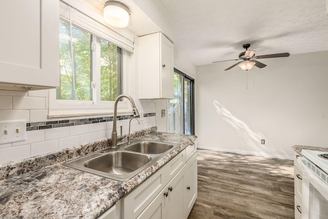 kitchen with white cabinets, tasteful backsplash, a wealth of natural light, and sink