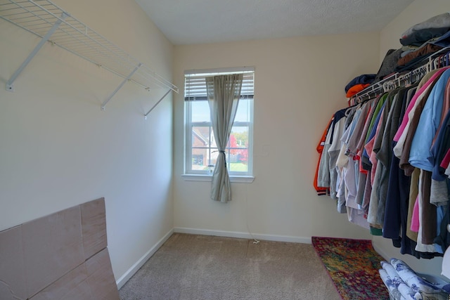 spacious closet featuring carpet flooring