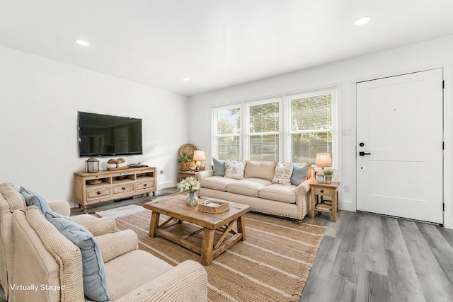 living room with wood-type flooring