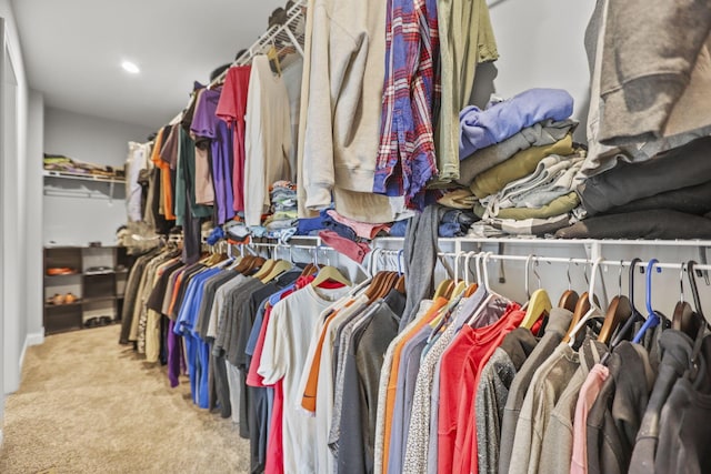 spacious closet with light carpet