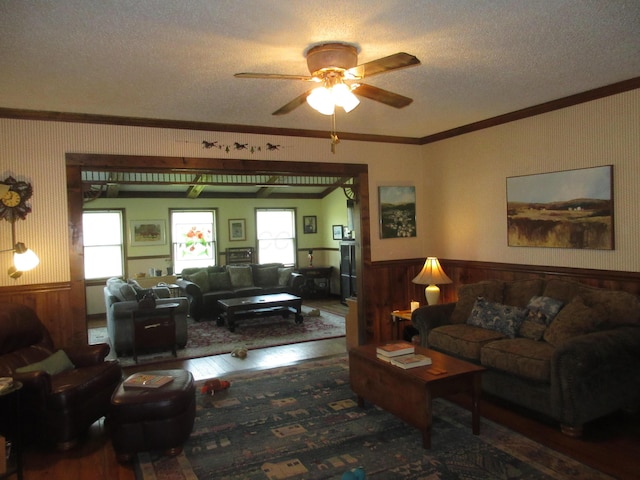 living room with crown molding, ceiling fan, dark wood-type flooring, and a textured ceiling