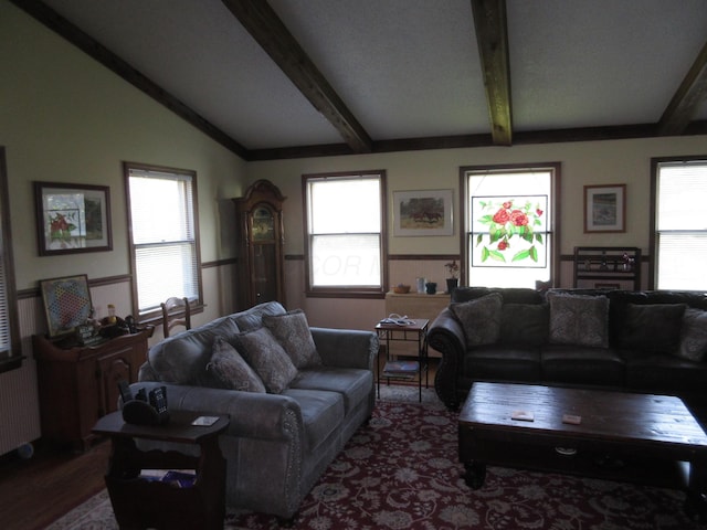 living room featuring plenty of natural light, lofted ceiling with beams, dark hardwood / wood-style flooring, and radiator heating unit