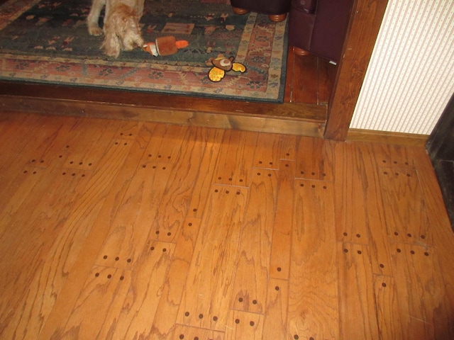 interior details with wood-type flooring