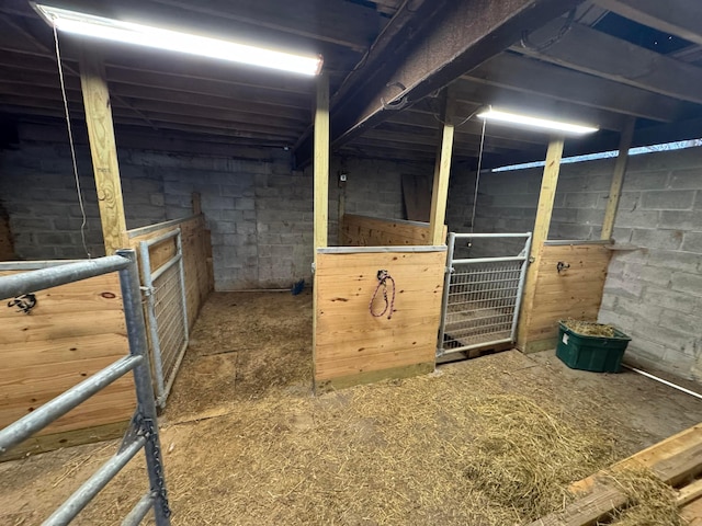 view of horse barn