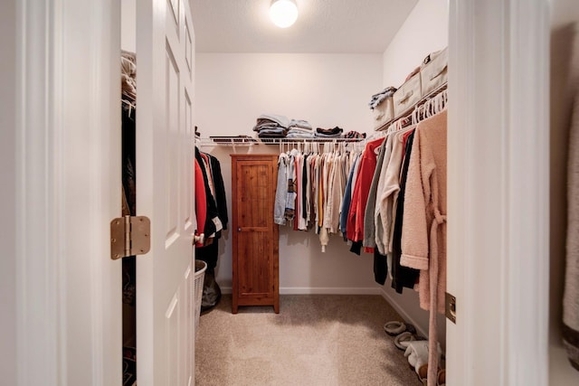 walk in closet with light carpet