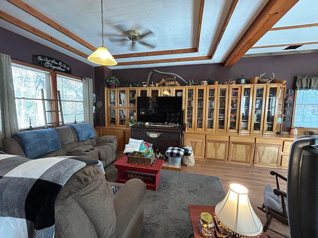 living room featuring ceiling fan and light wood-type flooring