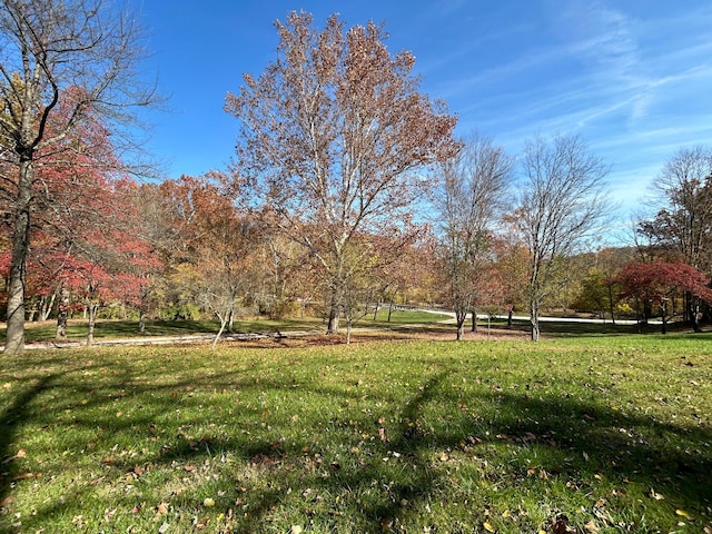 view of yard featuring a rural view