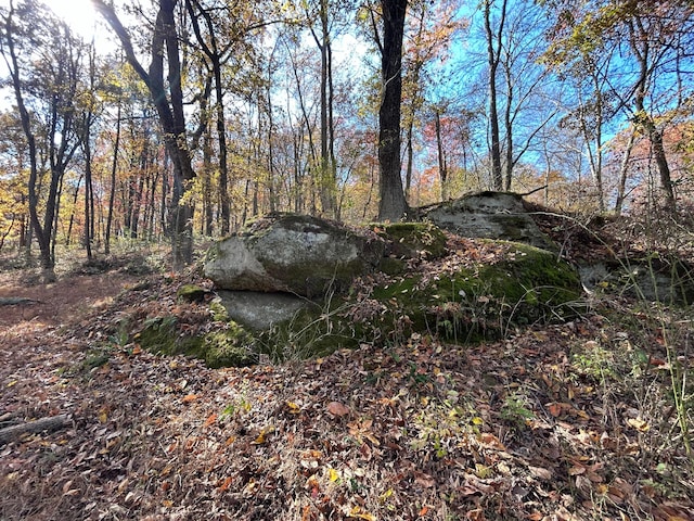 view of local wilderness