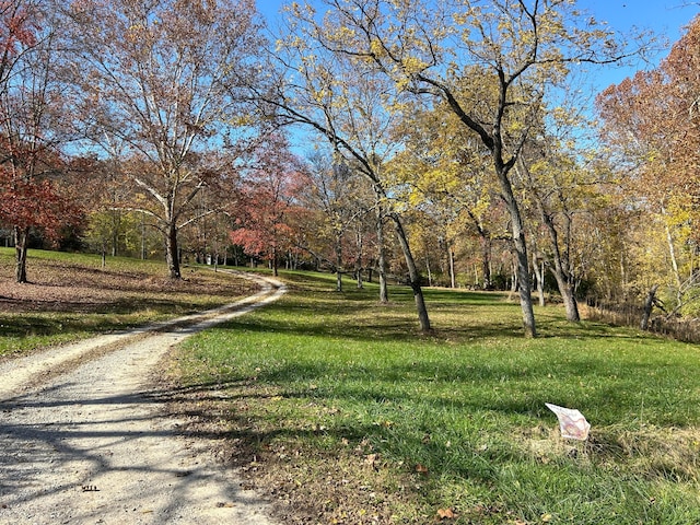 view of community with a lawn