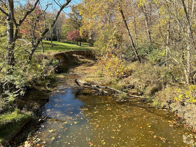 view of local wilderness