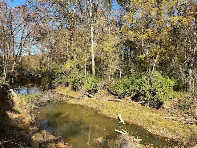 view of nature