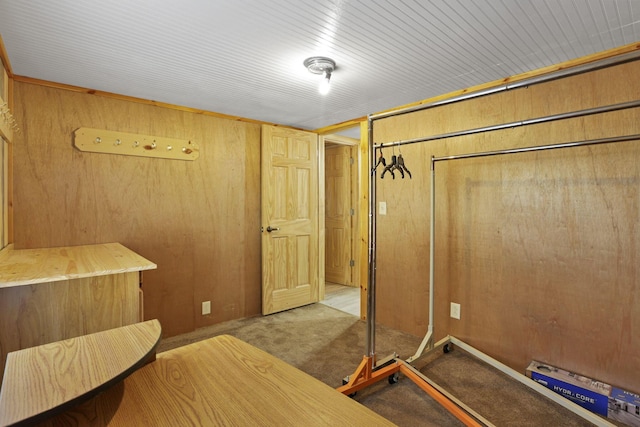 interior space with wood walls