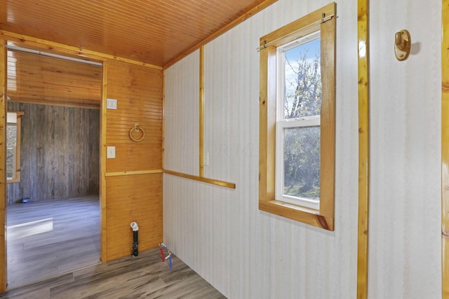 corridor with a wealth of natural light, wooden walls, hardwood / wood-style floors, and wood ceiling