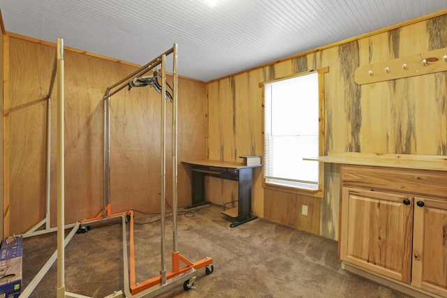 workout room with wood walls and carpet