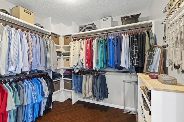 spacious closet with wood-type flooring