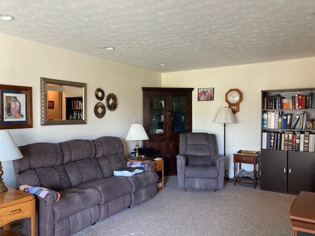 living room featuring carpet and a textured ceiling