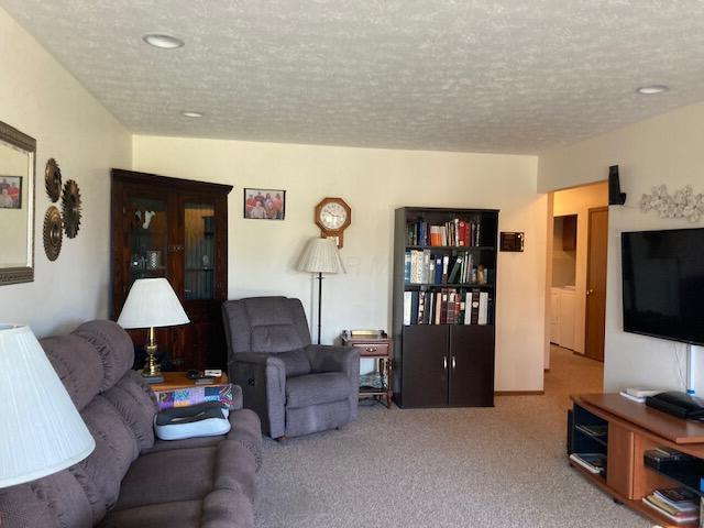 living room with light colored carpet and a textured ceiling