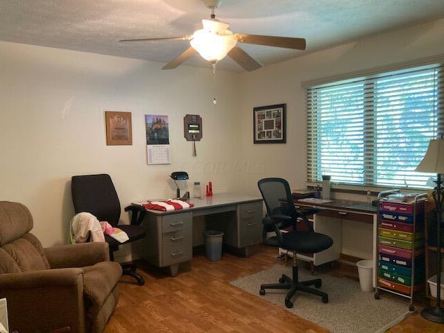 office with ceiling fan, hardwood / wood-style floors, and a textured ceiling