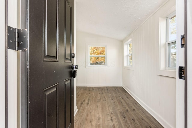 doorway featuring light hardwood / wood-style floors, vaulted ceiling, and a wealth of natural light