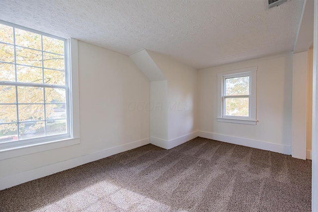 bonus room with carpet flooring and a textured ceiling