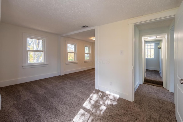 spare room featuring a healthy amount of sunlight, carpet floors, and a textured ceiling