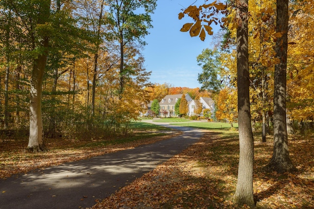 view of street