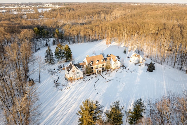 view of snowy aerial view