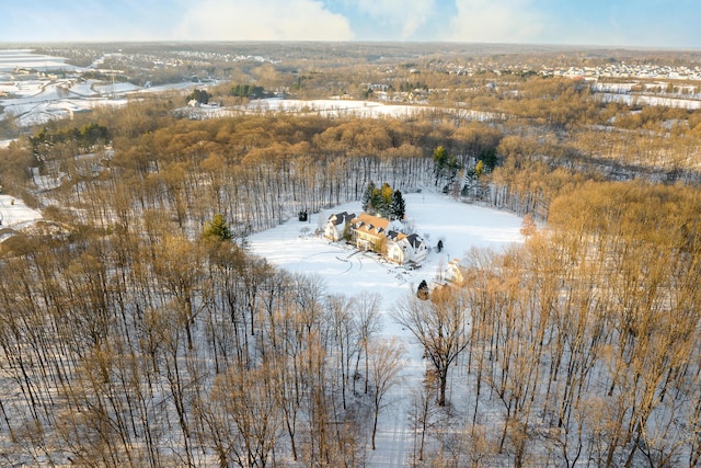 view of snowy aerial view