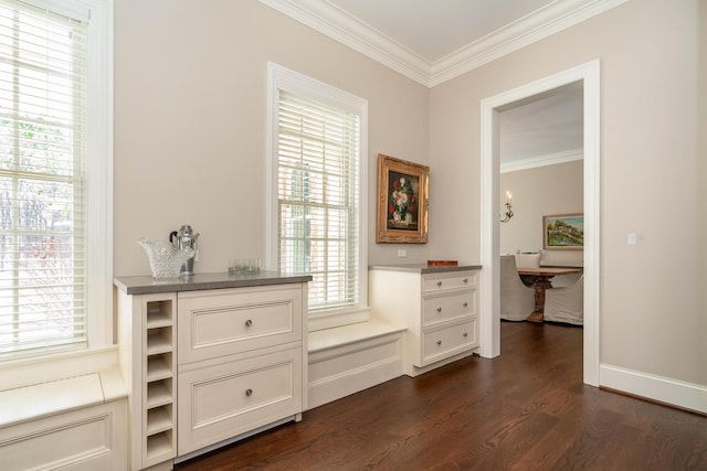 interior space featuring dark hardwood / wood-style floors, crown molding, and a healthy amount of sunlight