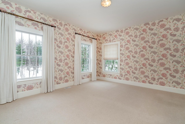 spare room with plenty of natural light and carpet