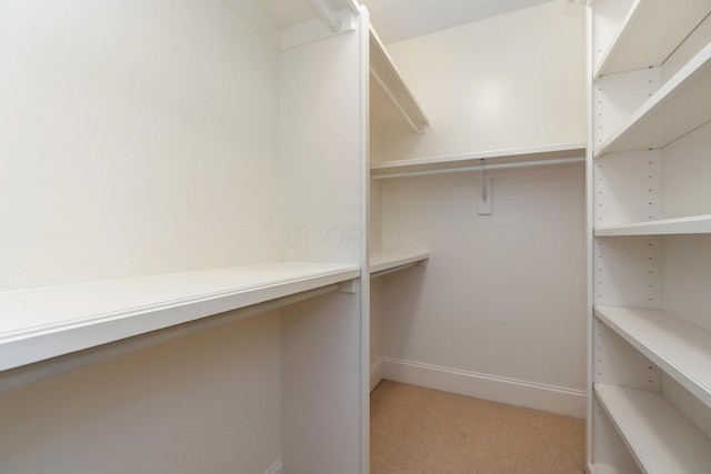 walk in closet featuring light carpet