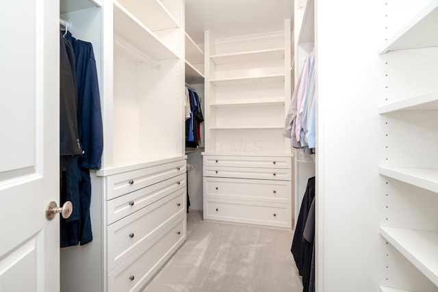 spacious closet with light carpet