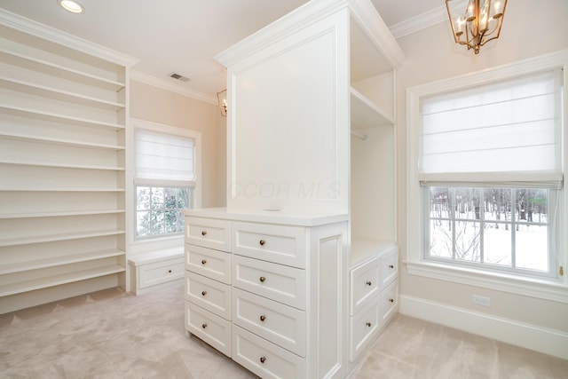 walk in closet with light carpet