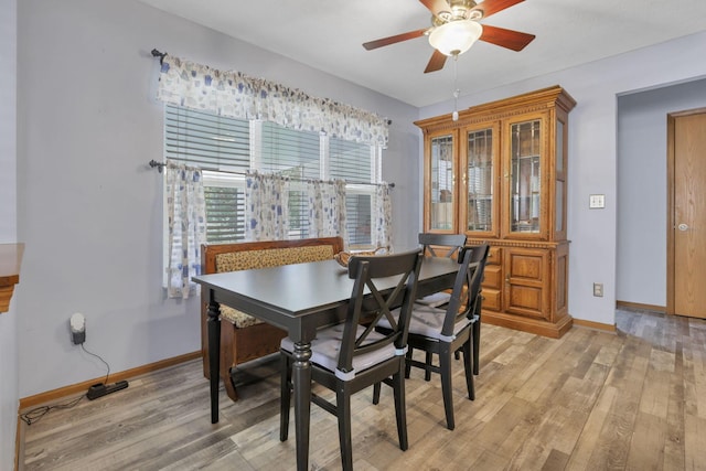 dining space with ceiling fan and light wood-type flooring