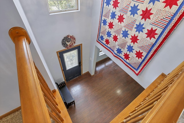 foyer with dark hardwood / wood-style flooring