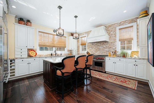 kitchen with custom exhaust hood, dark wood-type flooring, high quality appliances, white cabinets, and a kitchen island