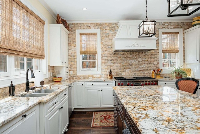 kitchen with white cabinets, premium range hood, sink, and a wealth of natural light