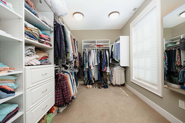 spacious closet with light colored carpet