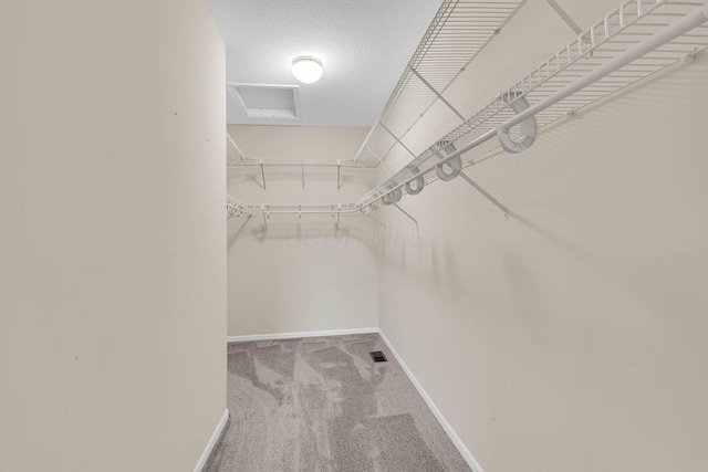 walk in closet featuring light carpet