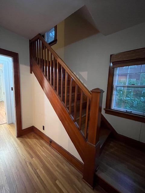 stairway featuring wood-type flooring