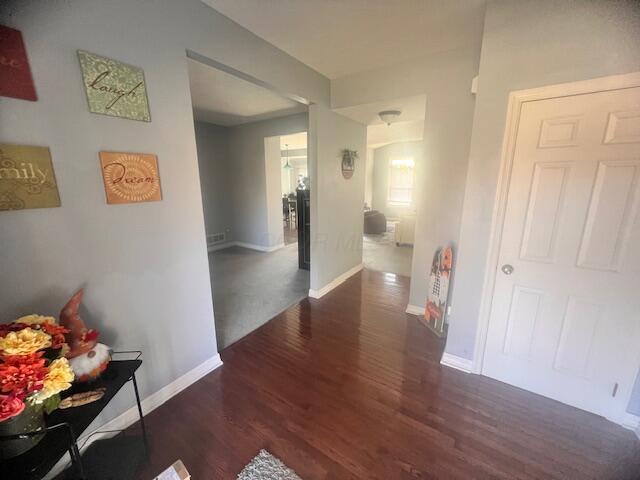 corridor with dark wood-type flooring