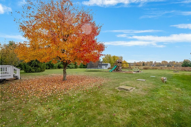 view of yard with a trampoline and a playground