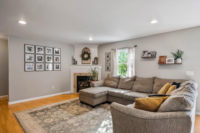 living room featuring a fireplace and light hardwood / wood-style flooring