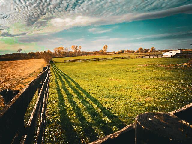 view of yard featuring a rural view