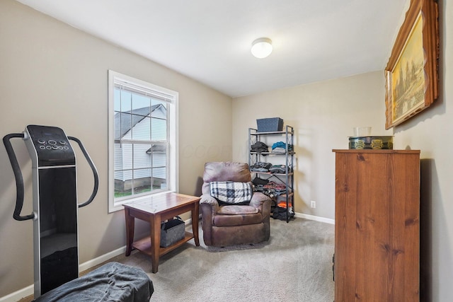 living area featuring carpet floors