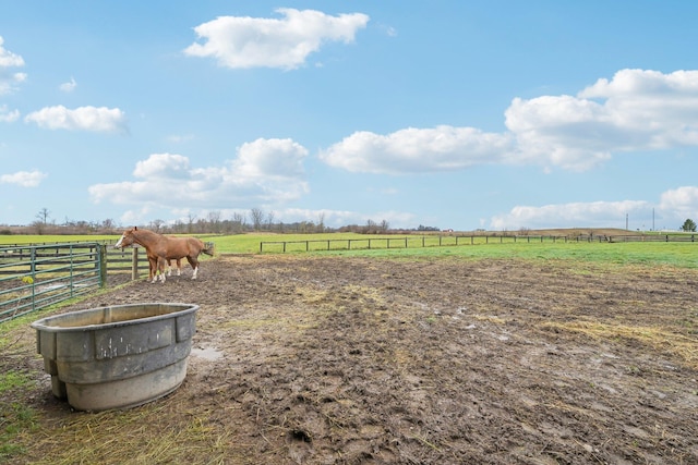 view of yard featuring a rural view