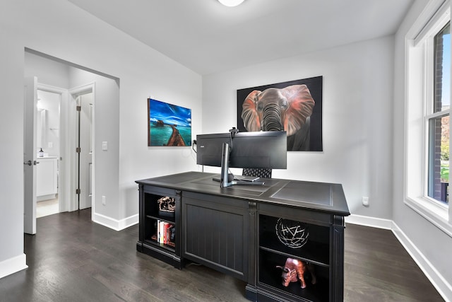 office space featuring dark wood-type flooring