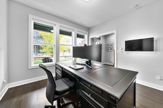 office space featuring dark hardwood / wood-style flooring